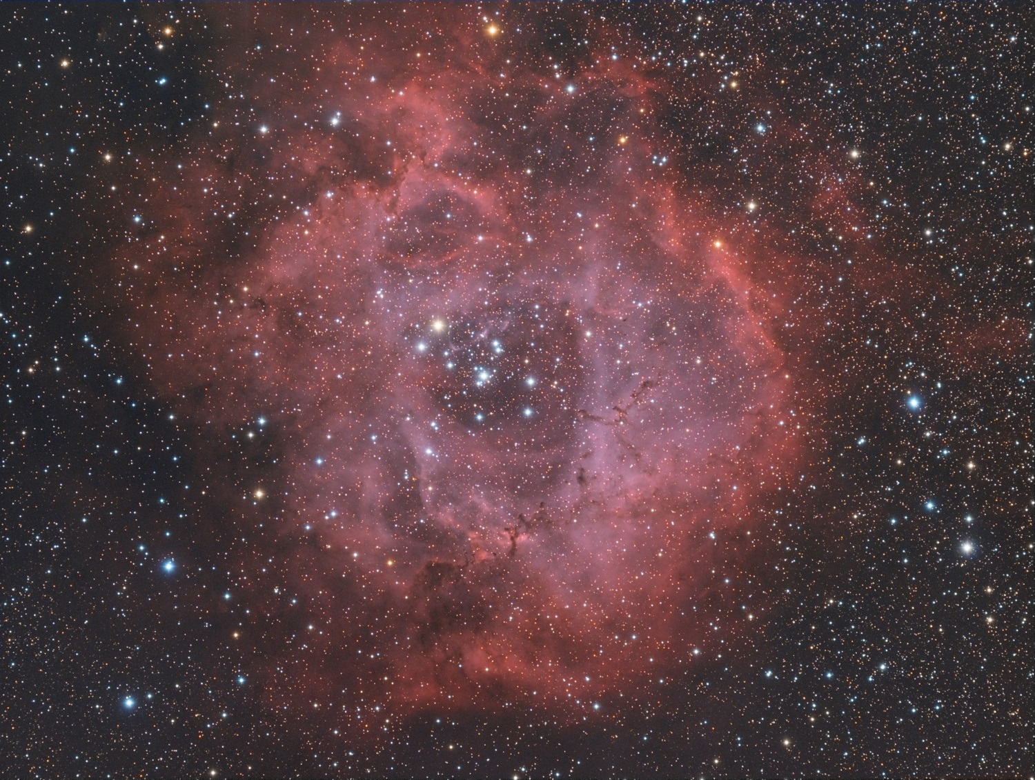 NGC 2237 LRGB