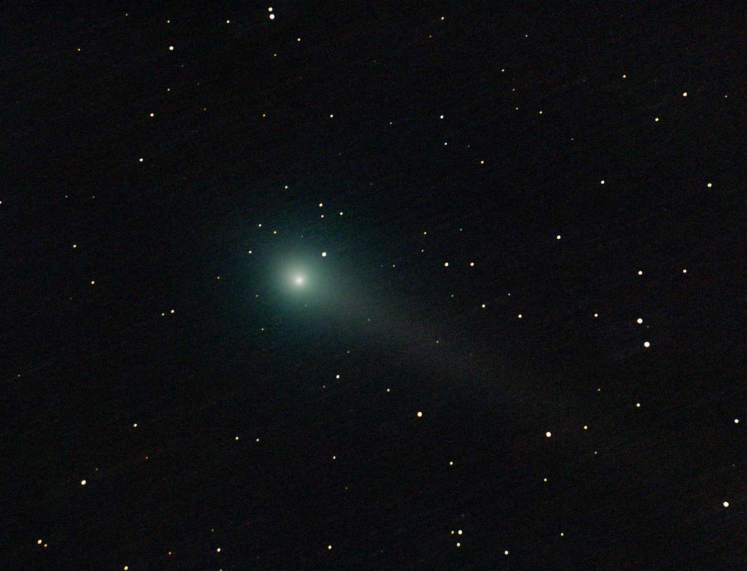 COMETA JOHNSON V2 .jpg