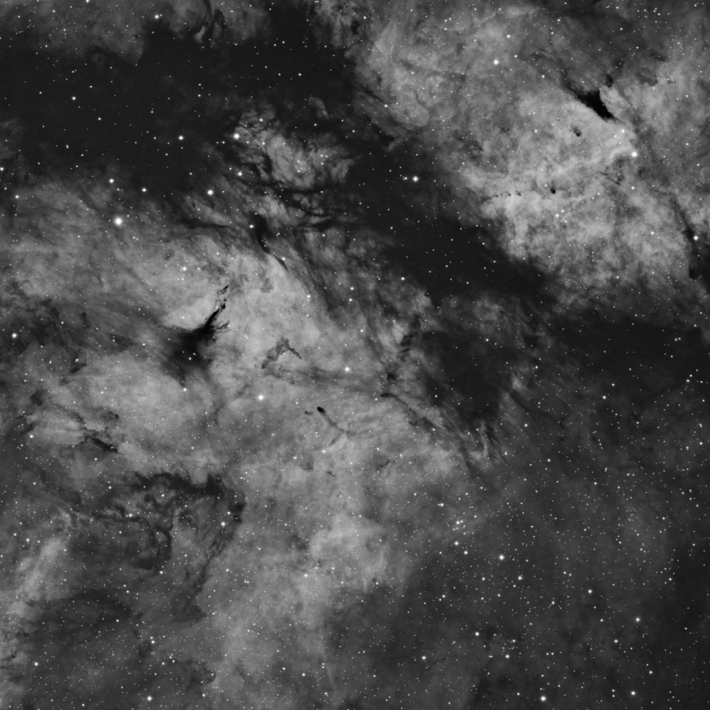 IC1318_Halpha_2017_web.jpg