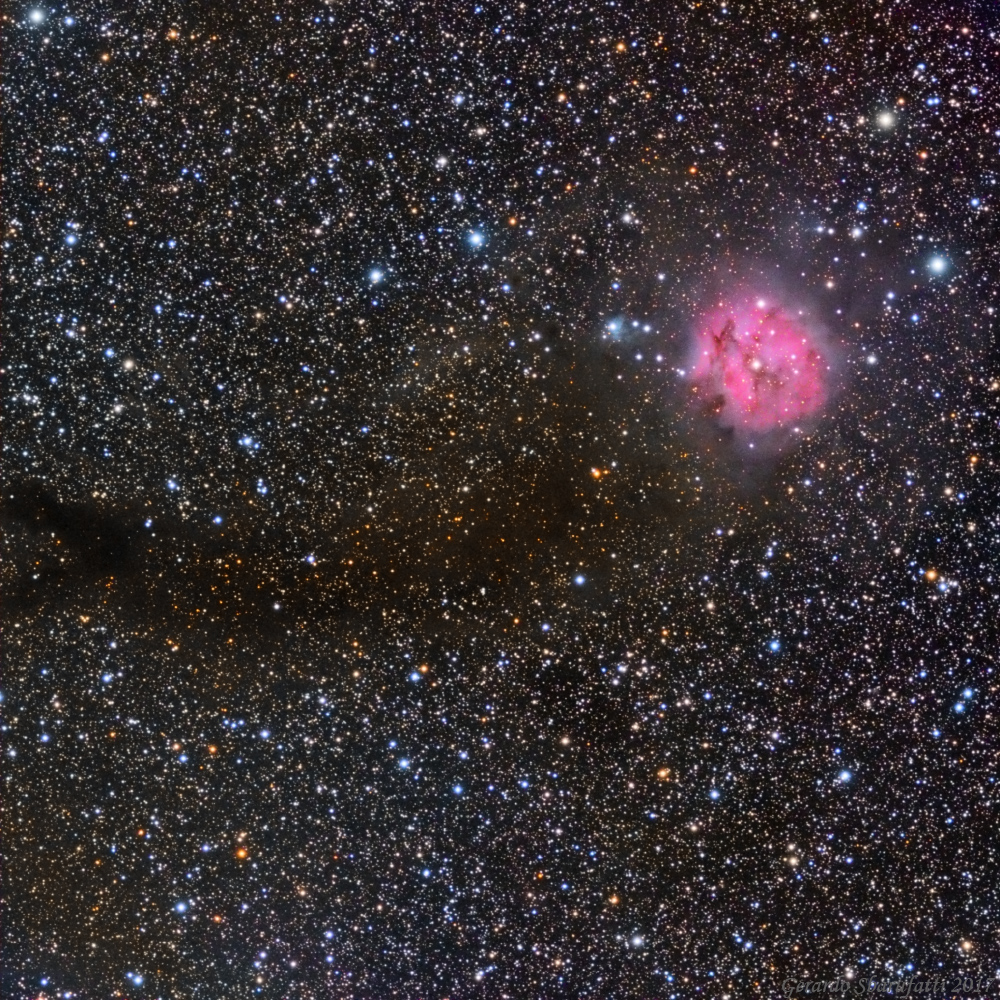 IC5146_2017_web.jpg