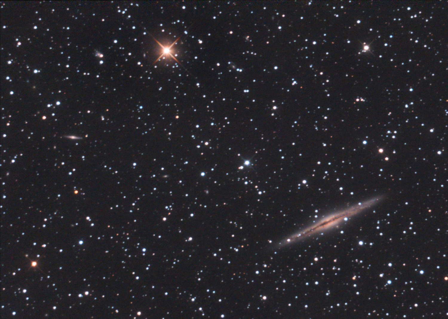 ngc 891 crop .PNG