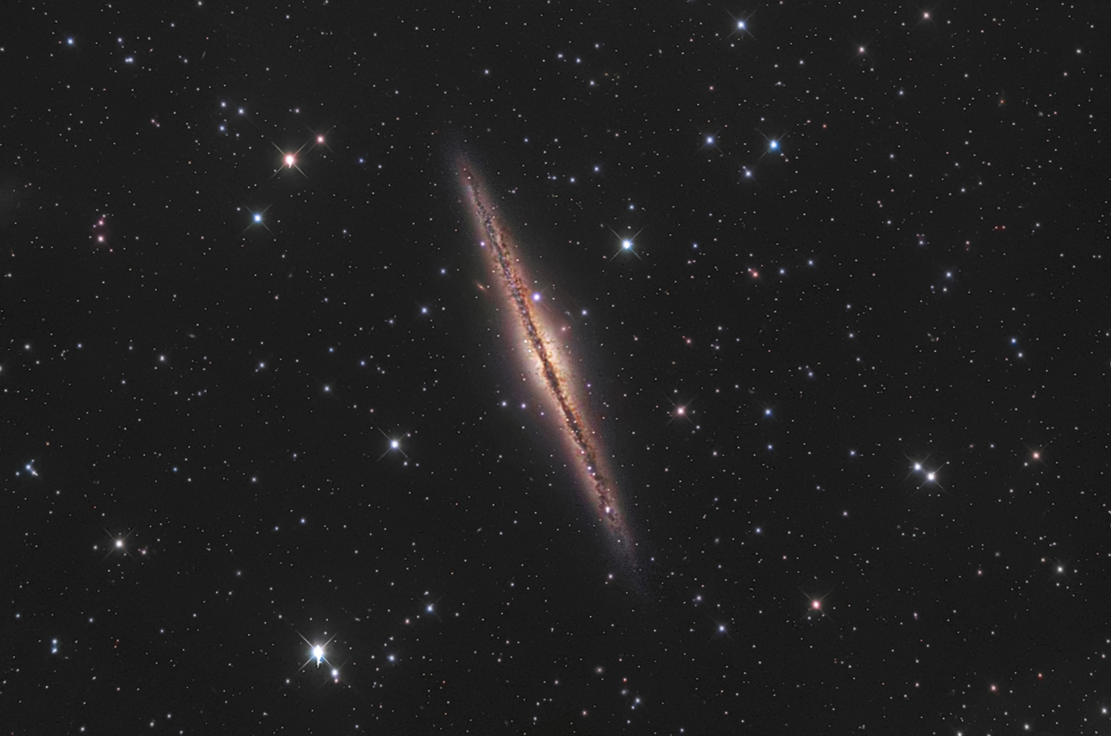 ngc891 LRGB-.jpg