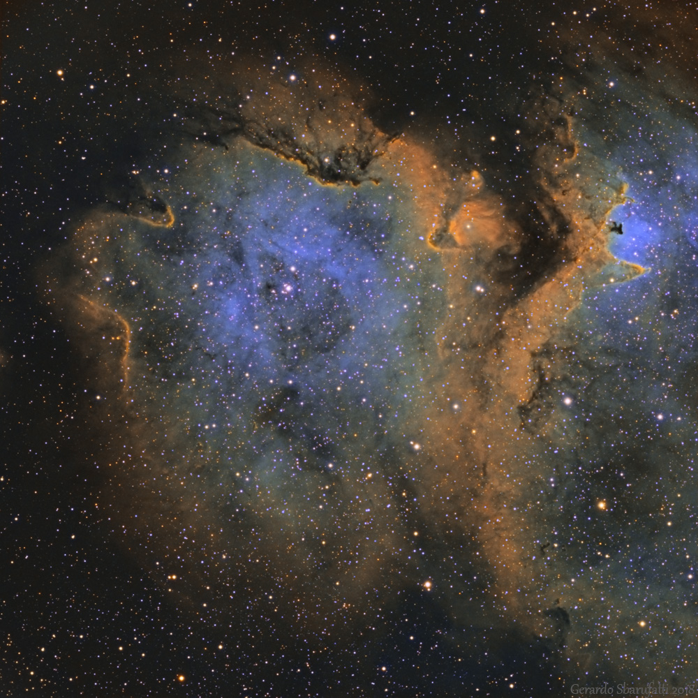 IC1848_xWeb.jpg