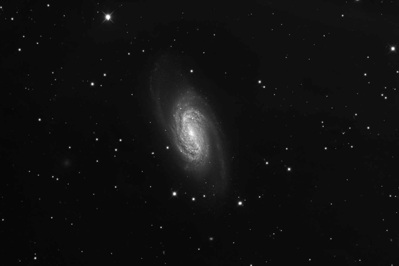 NGC 2903 L.jpg
