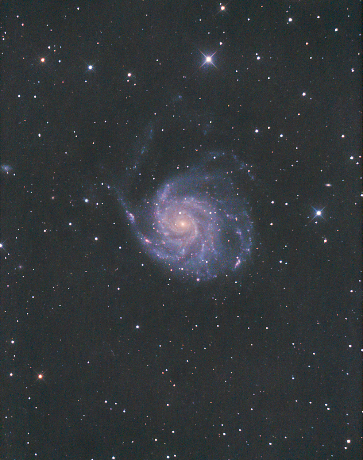 M 101 crop .JPG