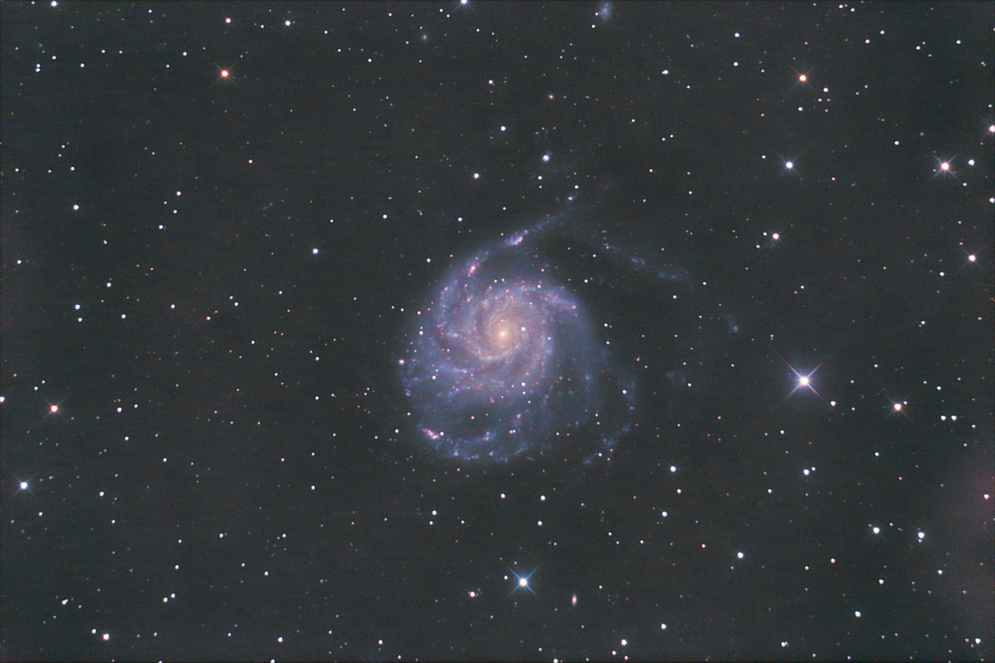 M 101  07-2020 .JPG