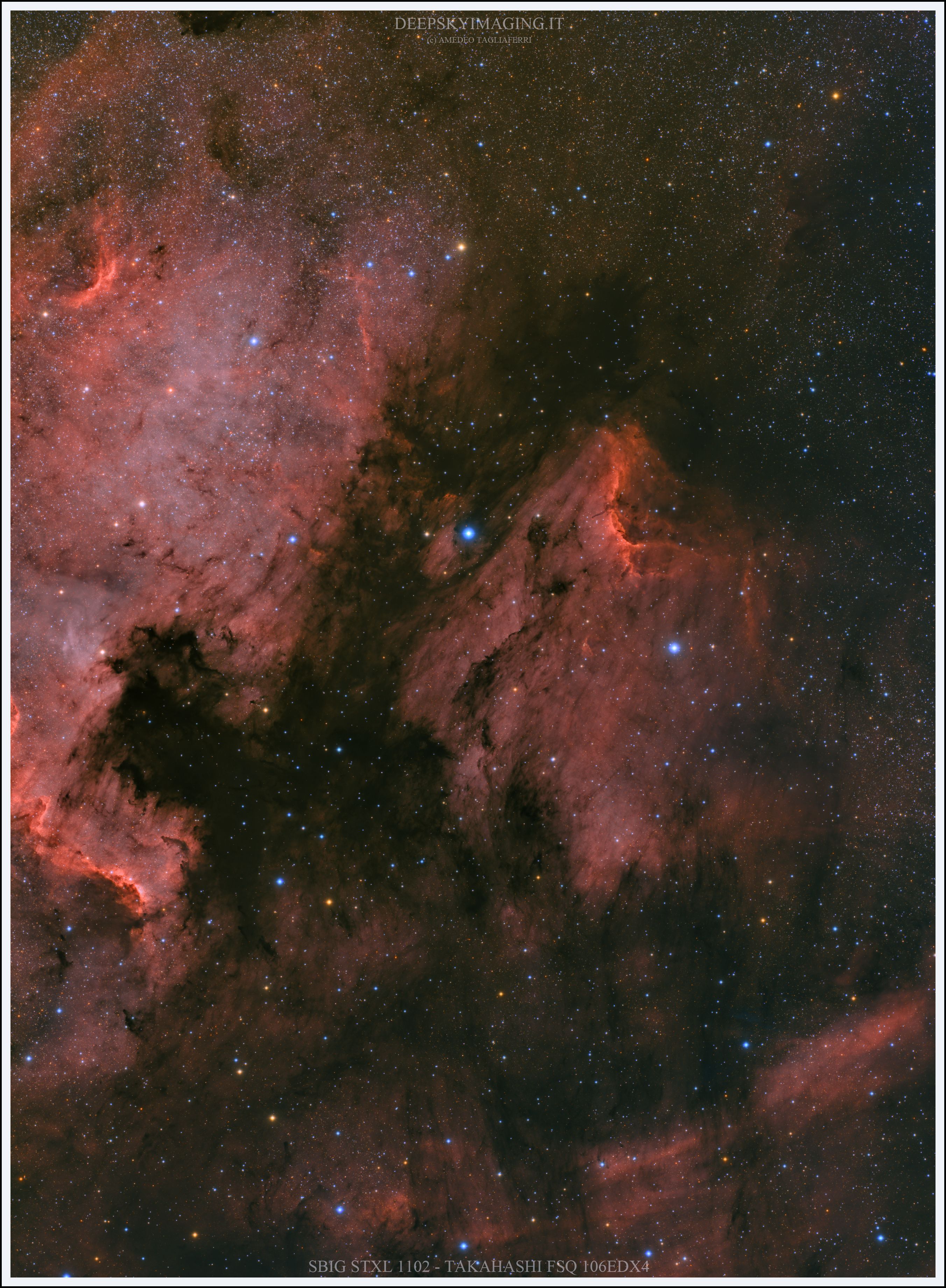 Nebulose-nel-Cigno-1.jpg